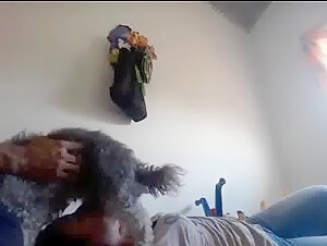 Woman and Dog: A Forbidden Meeting