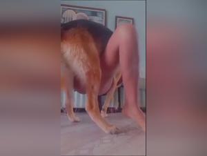 Hardcore Zoophilia: Canine Possession