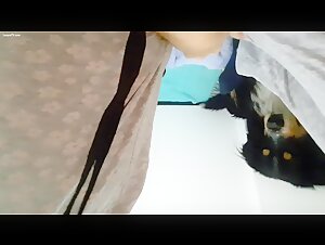 Woman in pajamas shares an intimate moment with her dog