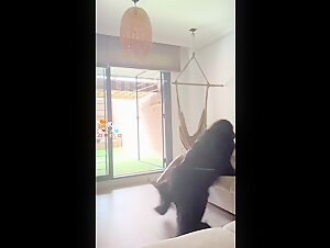 Dog and woman: a beastly encounter