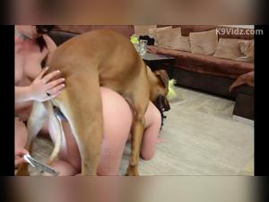 Canine Debauchery: Double Lesbian and Dog Fuck