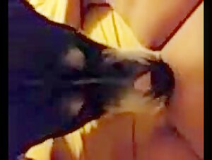 Woman and Dog: A Forbidden Encounter