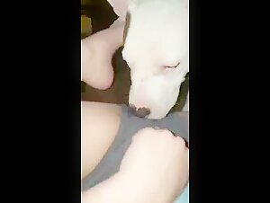 Unterwurfige Frau und ihr Hund