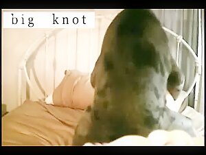 Golpes duros: un intenso video de bestialidad
