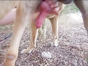 She really wants it