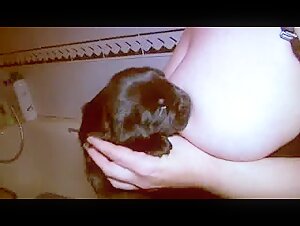 Lait maternel pour chien