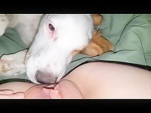 Femme et Chien: Une Rencontre Interdite