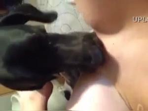 Bestial Delights: Blondes and Dogs in Hardcore Sex Scenes