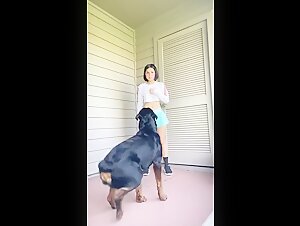 Dog training 2?