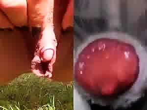 Fucked with desire after fucking a dog on ztube.org