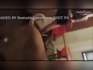 Italian Zoophilia: The Gross Violation of a Woman
