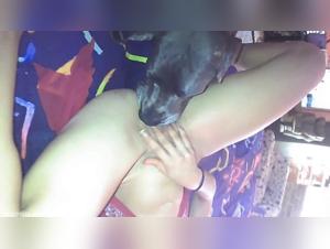 Débauche Canin : La Femme à la Mercy du Chien