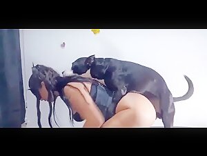 Woman and Dog: A Forbidden Meeting