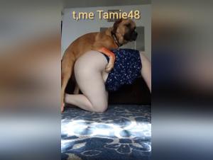 Moglie Dog Exploited, Animal Pleasure Germany