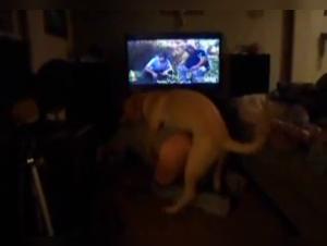 Animal Seduction: Milly and her Dog in Incredible Antics