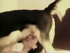 bestiales rencontres canine