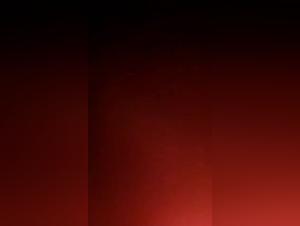 Milly's Obsession: A Devastating Journey into Animal Desire