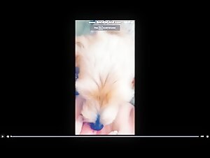 Woman and Dog: A Passionate Encounter