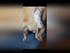zoophilie indomptable : désir sauvage femme-chien
