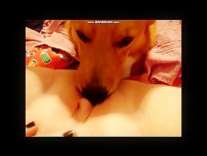 Chubby woman and dog: a beastly encounter