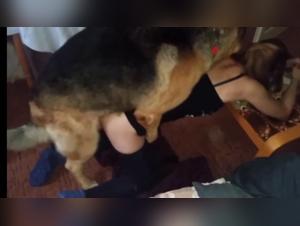 Délices Bestiaux : Milly plonge dans l'abysse canin