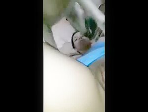 La donna e il suo fedele compagno canino