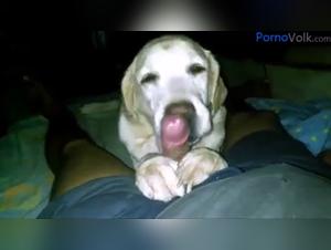 Canine Debauchery: Explore the Fairy Brothel of Extreme Animality