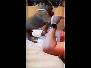 Fuck with Dog: Little female dog Face-Fucking Woman