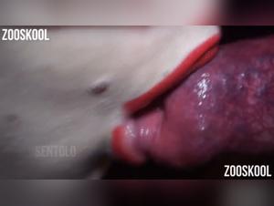 Bestialika sex tube