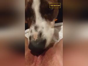 Bestial Lick: A Dog Exploits a Woman