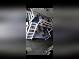Dog Fucks Bitch: Ip Cam Part1 (Wild Zoophilia)