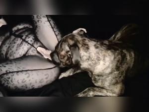 Zoofilia incondicional: El perro devora a la mujer