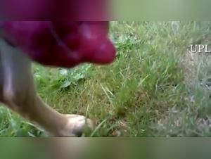 Bestial Delights: Explore animal desire