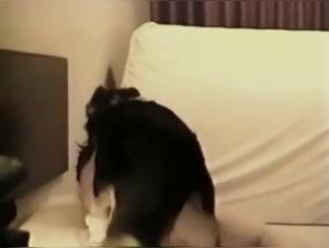 Breanna caledoniana: ossessione canina