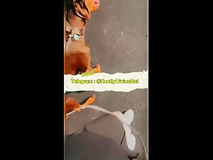 Fat amateur slut lets herself be trampled by dog   outdoors