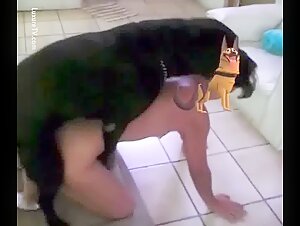 Unfaithful wife with dog