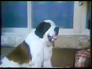 Dépravations Canines - Film Complet (1986)