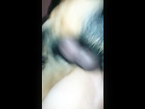 Donna e cane: un incontro bestiale