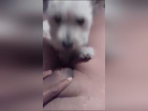 Canine Delights: Hardcore Sex on All Fours