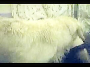 A letto con Shylark II - Una bionda e il suo cane