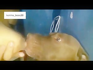 Intimitat verboten: eine Frau und ihr Hund