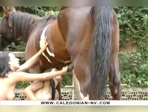 Horse Crazy Crew: Double Dose of Equine Pleasure