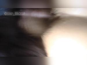 Bestial Delights: Explore the Abyss of Forbidden Passion