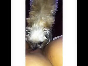 Bestialischer Sex mit Hund: Entdecken Sie das Hochgefuhl