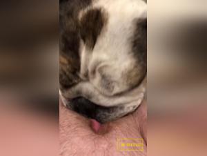 Unbridled bestiality