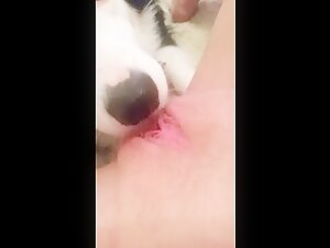 Der Teenager erleichtert sich auf dem Gesicht des Hundes, wahrend er ihre Muschi leckt
