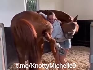 Horse and I, a hot scene