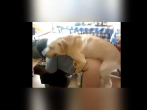 Bestial Polish Fuck: Cruel and Intense Delights