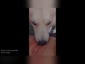 Wilde Orgien: Hunde- und Jugendliche Gerichtsgrafie
