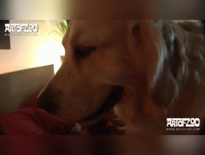 Gabby: Wild Desire - Forbidden XXX Videos